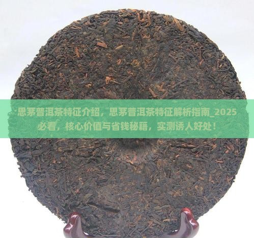 思茅普洱茶特征介绍