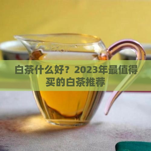 白茶什么品牌好