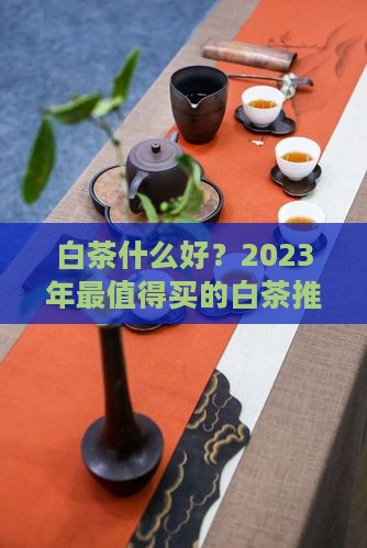 白茶什么品牌好