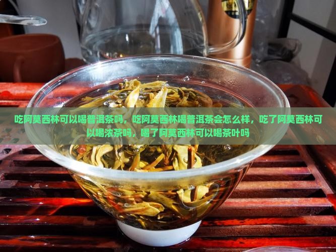 吃阿莫西林可以喝普洱茶