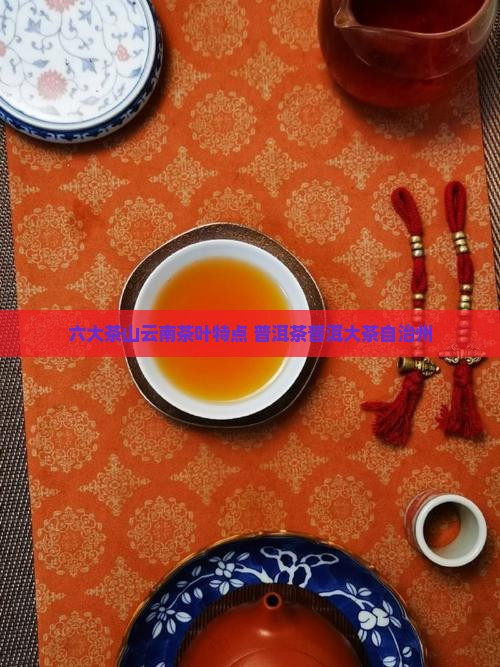 六大茶山的茶特点