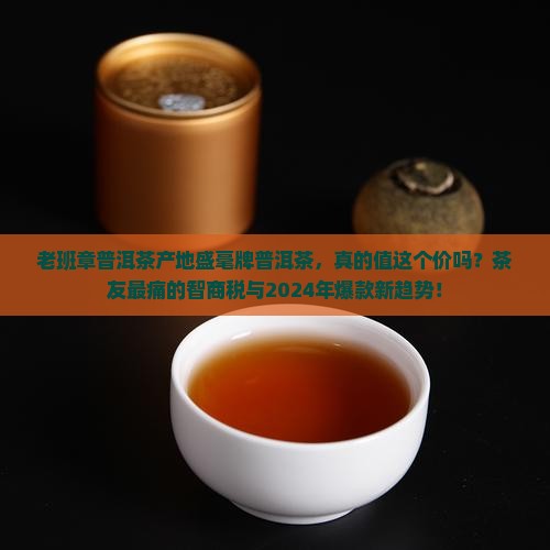 老班章普洱茶产地盛毫牌普洱茶