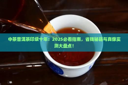 中茶普洱茶印级十年