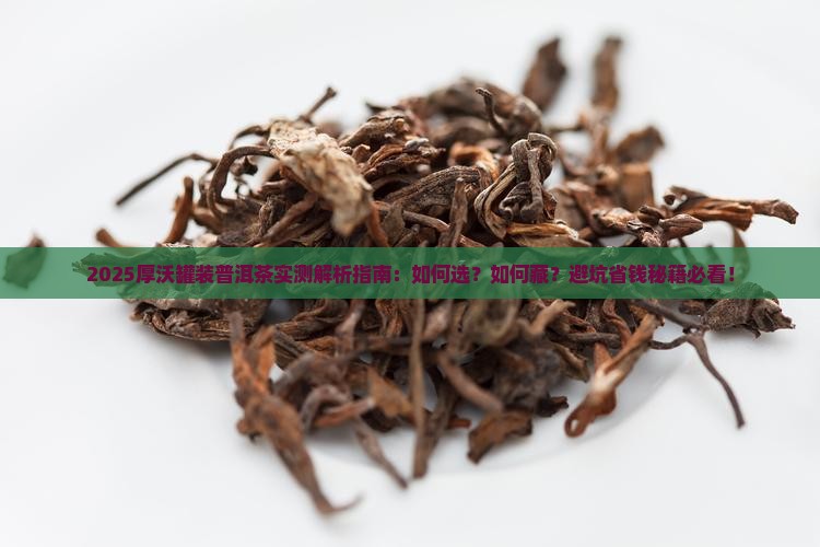 厚沃罐装普洱茶