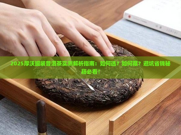 厚沃罐装普洱茶