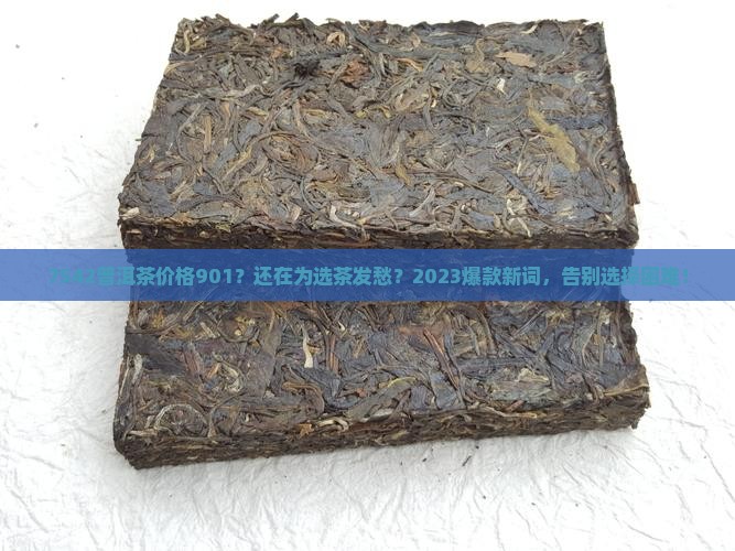 7542普洱茶价格901