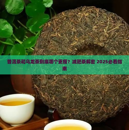 普洱茶和乌龙茶减肥哪个好