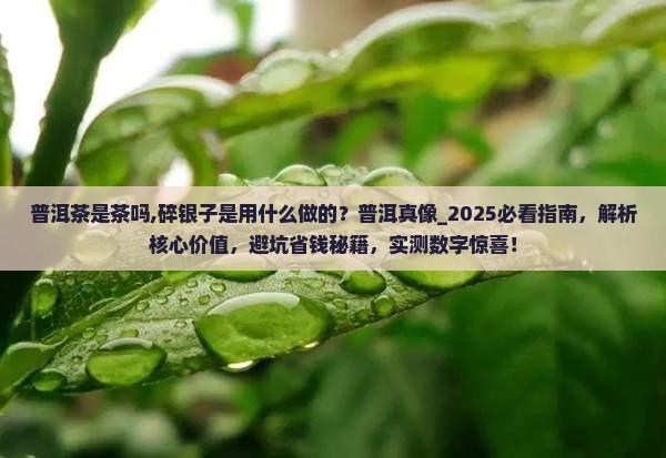 普洱茶是茶吗碎银子是用什么做的