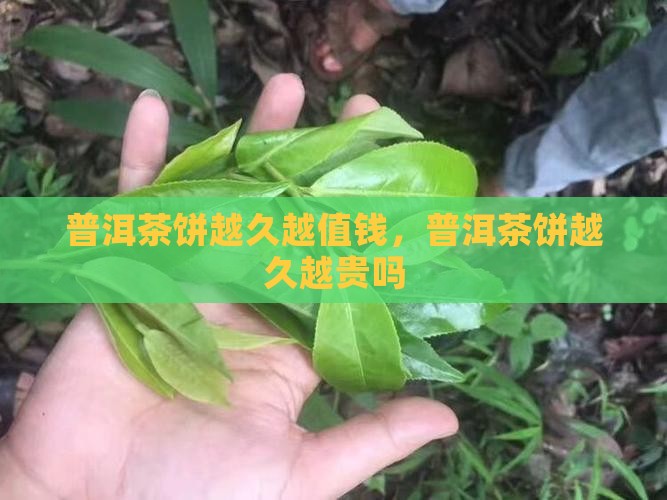 普洱茶饼越久越贵吗