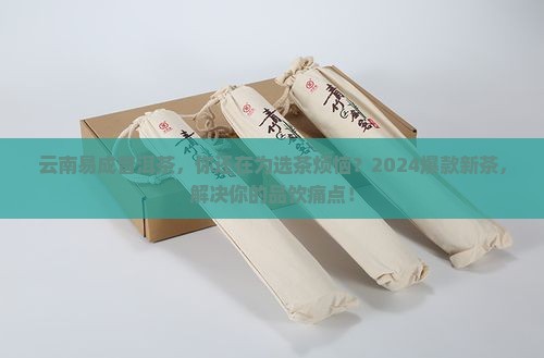 云南易成普洱茶