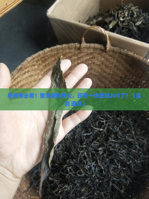 普洱茶又涨价了吗现在多少钱