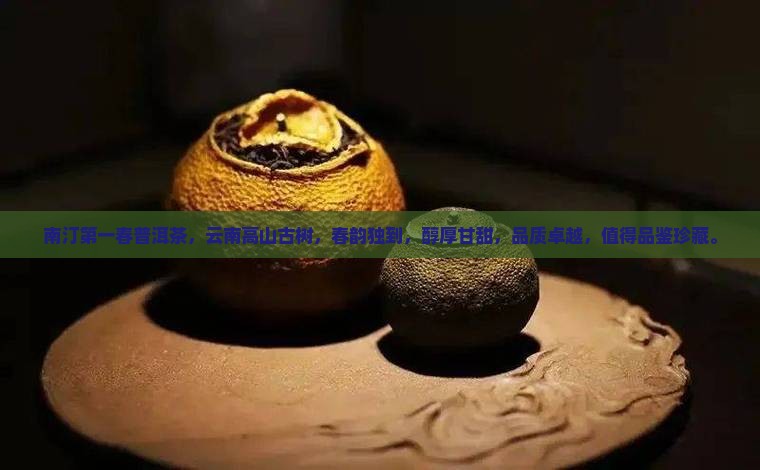 南汀第一春普洱茶