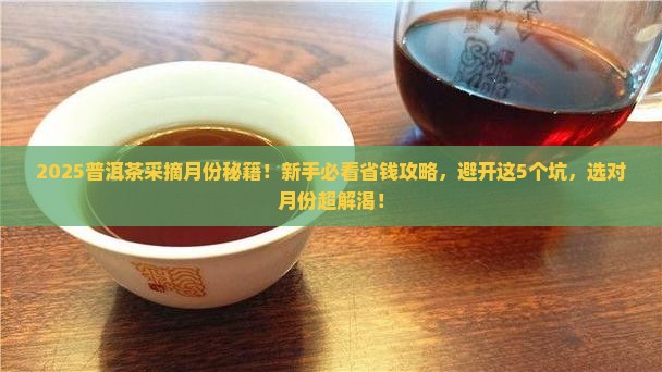 普洱茶的采摘月份