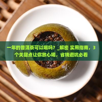 一年的普洱茶可以喝吗