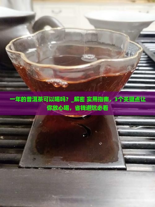 一年的普洱茶可以喝吗