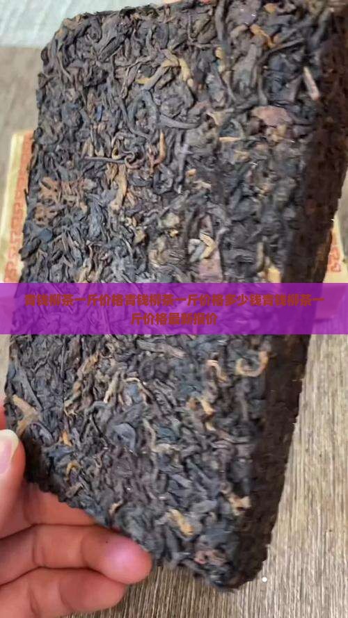 青钱柳茶一斤价格
