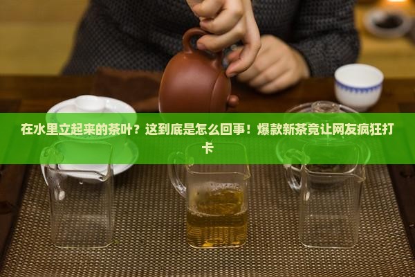 在水里立起来的茶叶