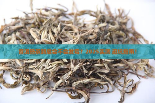 普洱茶熟茶会不会发霉