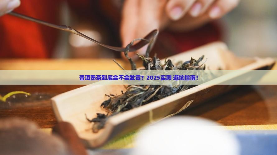 普洱茶熟茶会不会发霉
