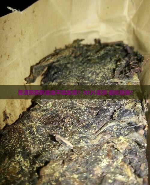 普洱茶熟茶会不会发霉