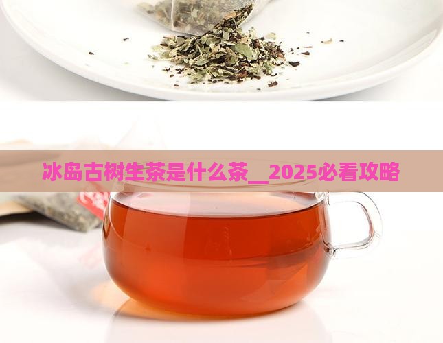 冰岛古树生茶是什么茶