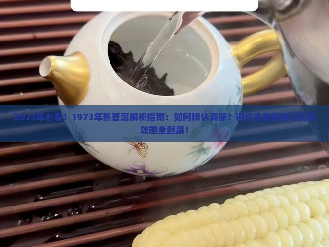 1973年熟普洱