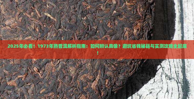 1973年熟普洱