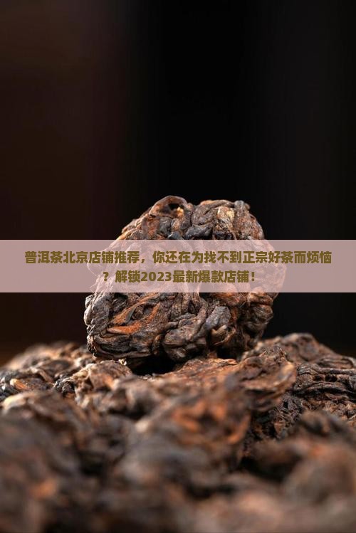 普洱茶北京店铺推荐