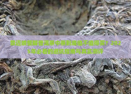 景迈螃蟹脚普洱茶中茶