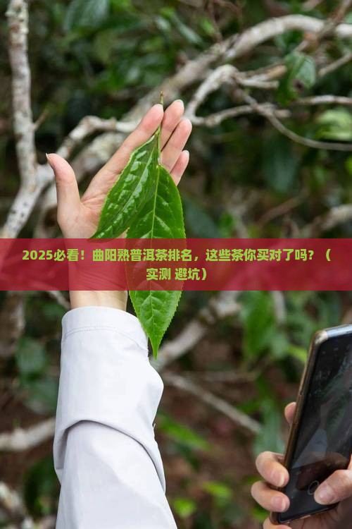 曲阳熟普洱茶排名