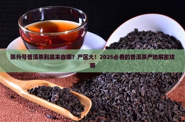 陈升号普洱茶是哪个产区的