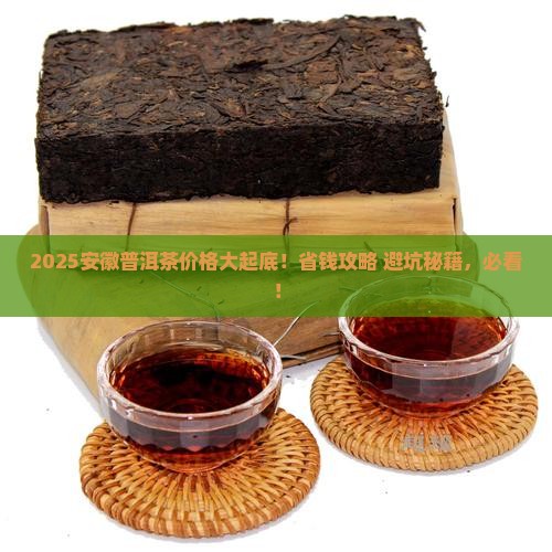 安徽普洱茶价格范围