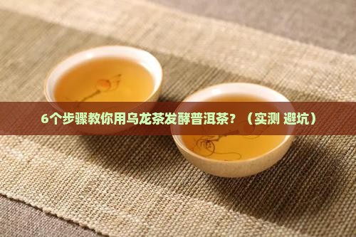 乌龙茶可以发酵普洱茶吗