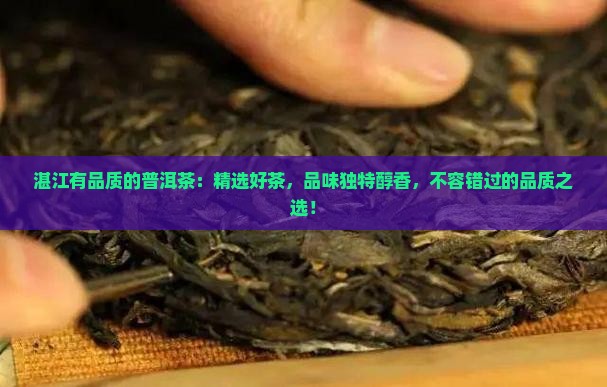 湛江有品质的普洱茶