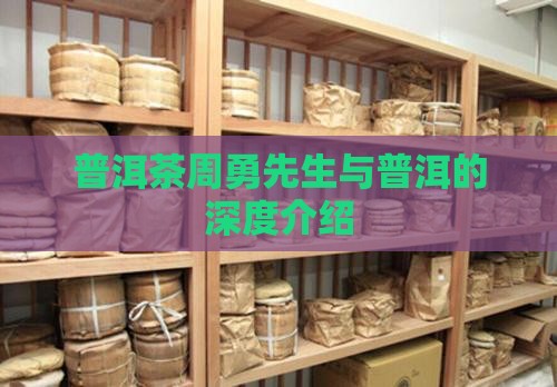 普洱茶周勇先生介绍