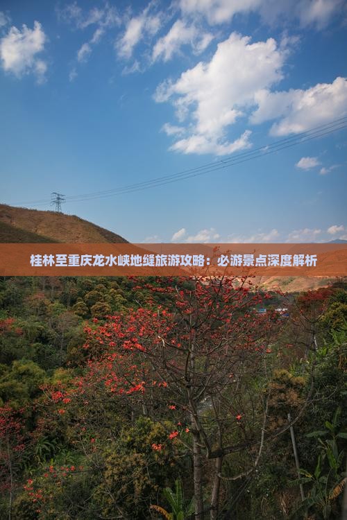 桂林至重庆龙水峡地缝旅游攻略：必游景点深度解析