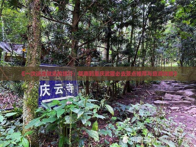 《一次说走就走的旅行：陇南到重庆武隆必去景点推荐与旅游攻略》