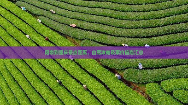 阳泉到重庆景点距离、自驾攻略及票价信息汇总