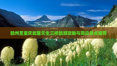 赣州至重庆武隆天生三桥旅游攻略与周边景点推荐