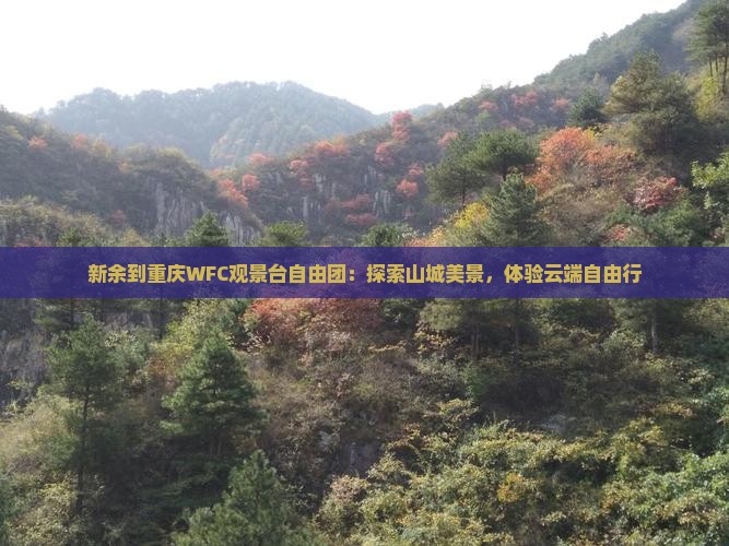 新余到重庆WFC观景台自由团：探索山城美景，体验云端自由行