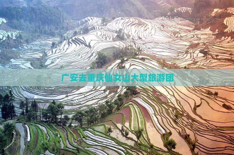 广安去重庆仙女山大型旅游团