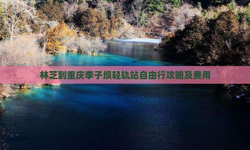 林芝到重庆李子坝轻轨站自由行攻略及费用
