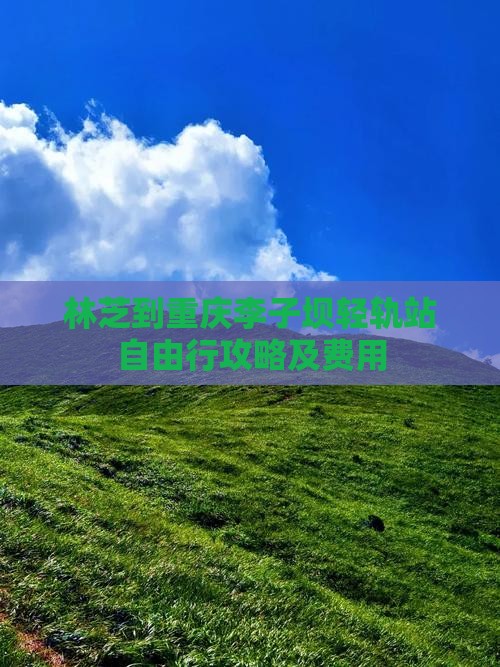 林芝到重庆李子坝轻轨站自由行攻略及费用