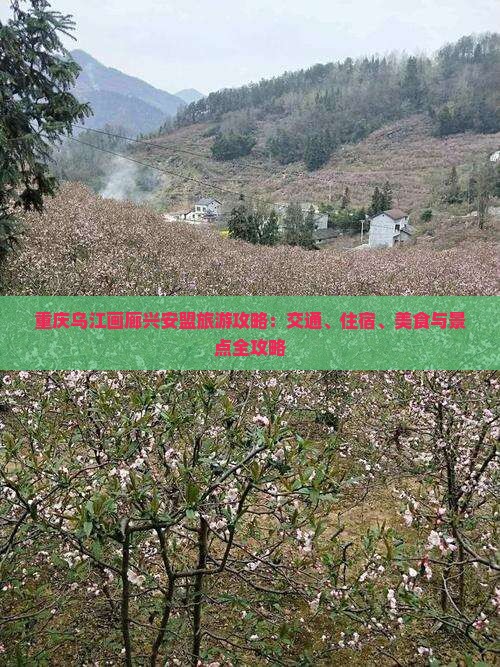 重庆乌江画廊兴安盟旅游攻略：交通、住宿、美食与景点全攻略