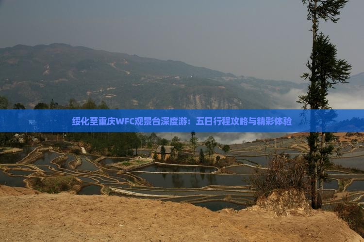 绥化至重庆WFC观景台深度游：五日行程攻略与精彩体验