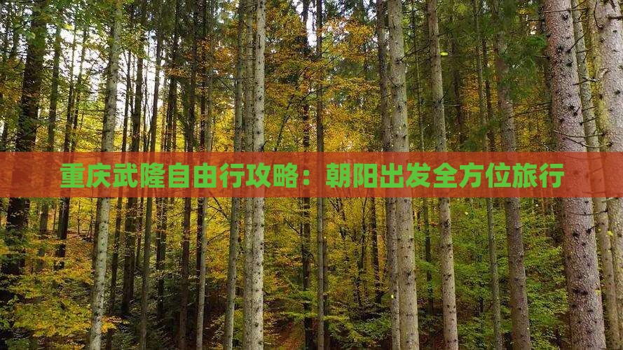 重庆武隆自由行攻略：朝阳出发全方位旅行