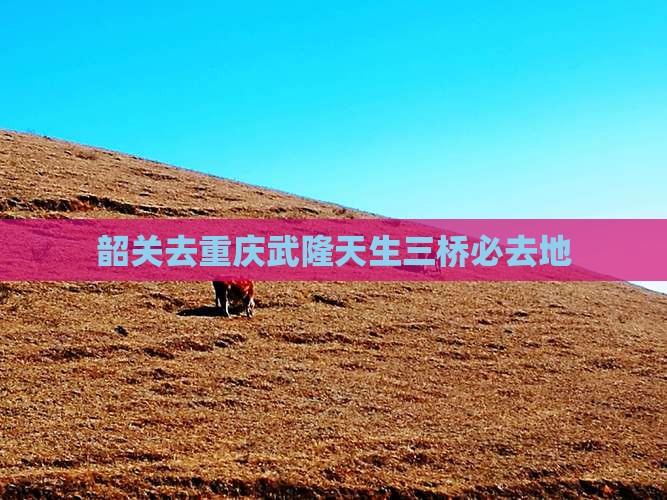 韶关去重庆武隆天生三桥必去地