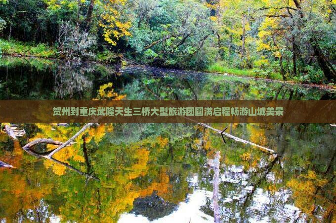 贺州到重庆武隆天生三桥大型旅游团圆满启程畅游山城美景