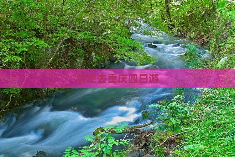 崇左去重庆四日游
