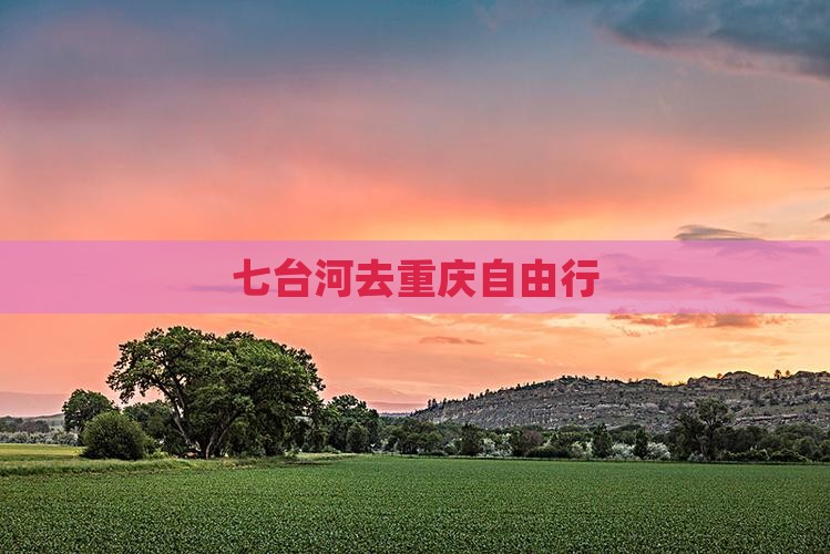 七台河去重庆自由行